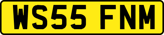 WS55FNM