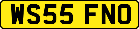 WS55FNO