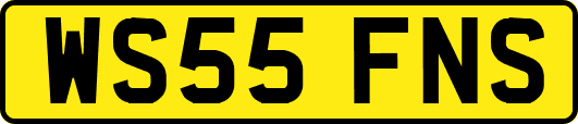 WS55FNS