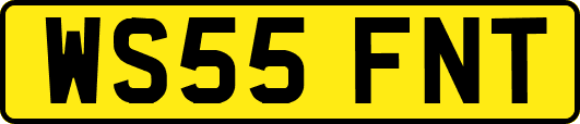 WS55FNT
