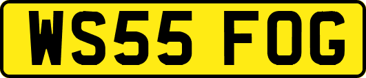 WS55FOG