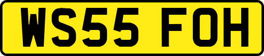 WS55FOH