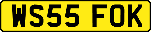 WS55FOK