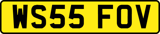 WS55FOV