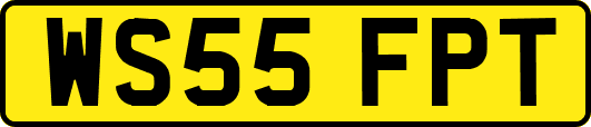 WS55FPT