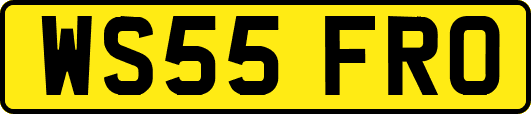 WS55FRO
