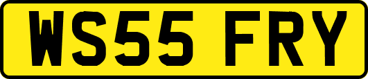 WS55FRY
