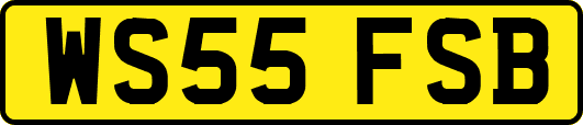 WS55FSB