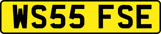 WS55FSE