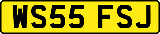 WS55FSJ