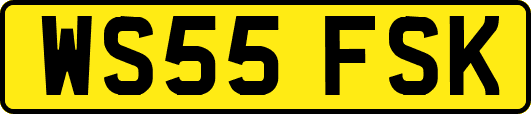 WS55FSK