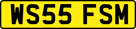 WS55FSM