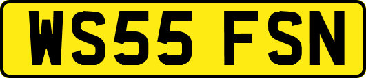 WS55FSN