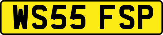 WS55FSP