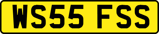 WS55FSS