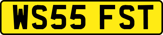 WS55FST