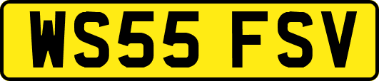 WS55FSV