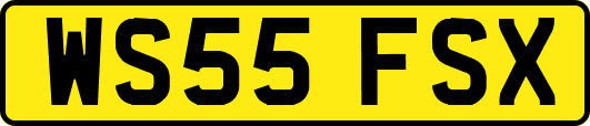WS55FSX