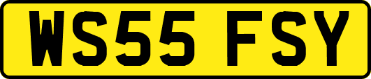 WS55FSY