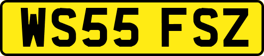 WS55FSZ