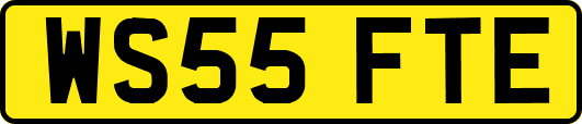 WS55FTE