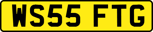 WS55FTG