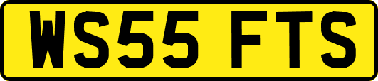 WS55FTS