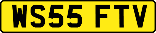 WS55FTV