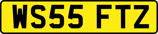 WS55FTZ