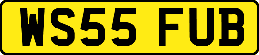 WS55FUB