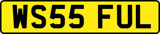 WS55FUL