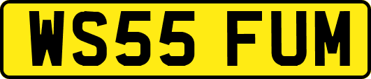 WS55FUM