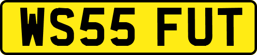 WS55FUT