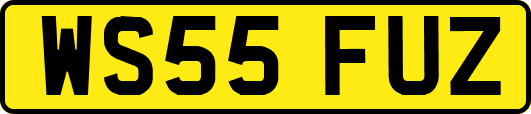 WS55FUZ