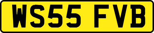 WS55FVB