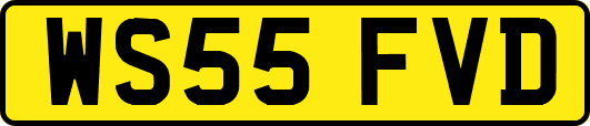 WS55FVD