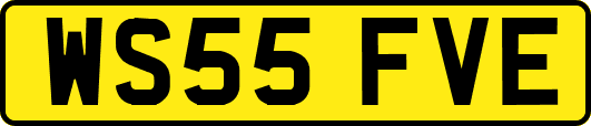 WS55FVE