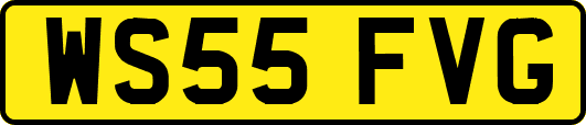 WS55FVG