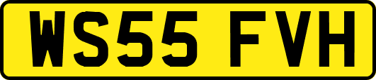 WS55FVH