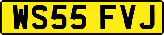 WS55FVJ