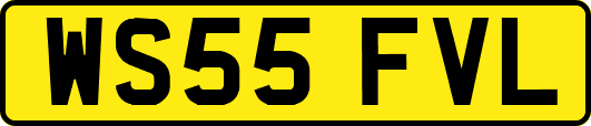 WS55FVL