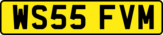 WS55FVM