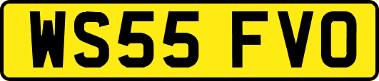 WS55FVO