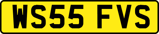 WS55FVS