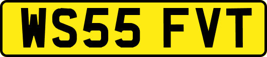 WS55FVT