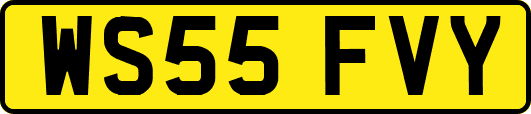 WS55FVY