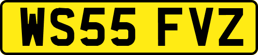 WS55FVZ