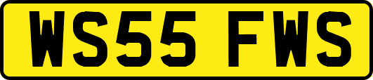 WS55FWS