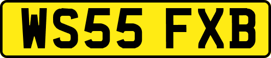 WS55FXB
