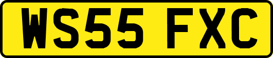 WS55FXC
